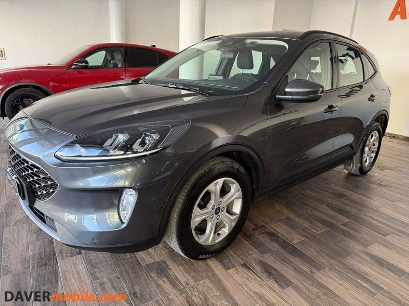 Ford Kuga Kuga 1.5 ecoblue Titanium Business 2wd 120cv