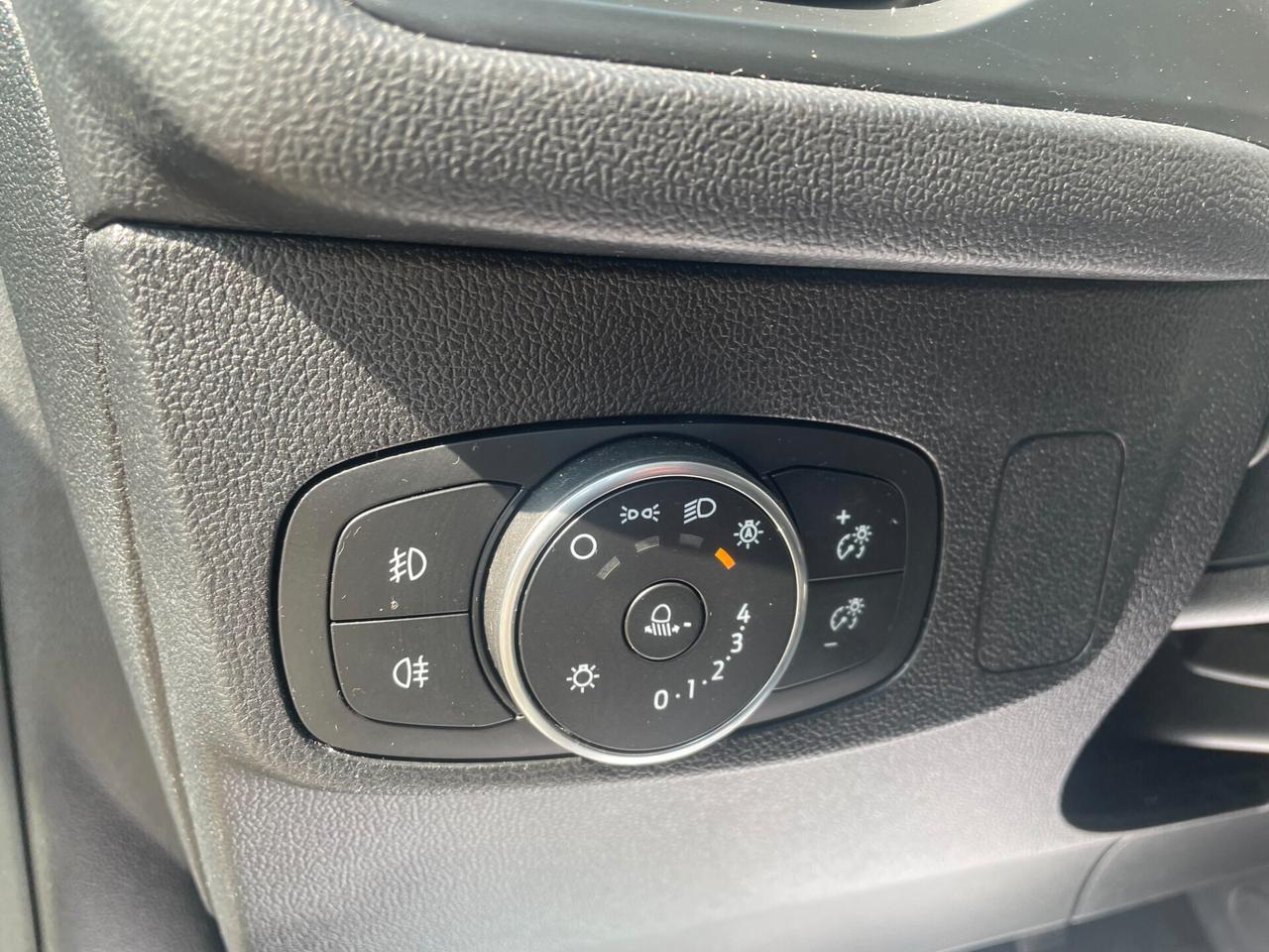 Ford Focus 1.5 EcoBlue 120 CV aut SW Business Co-Pilot DISTRIBUZIONE FATTA