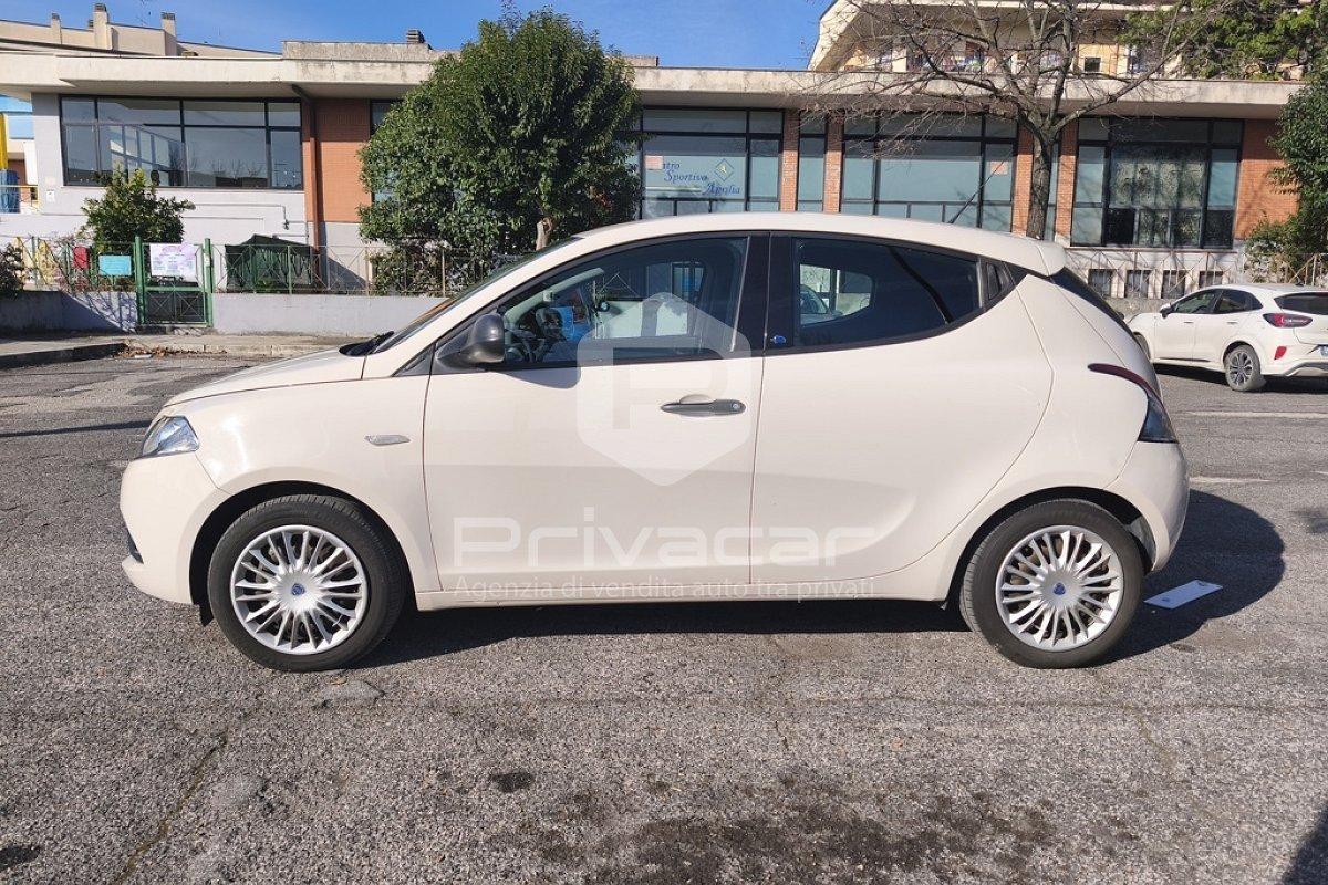 LANCIA Ypsilon 1.2 69 CV 5 porte Elefantino
