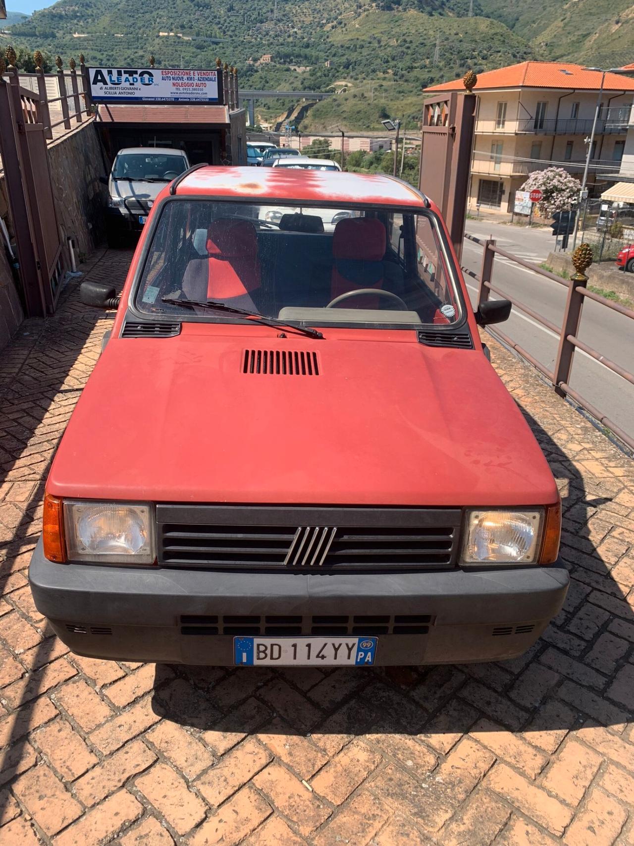 Fiat Panda 900 i.e. cat Young