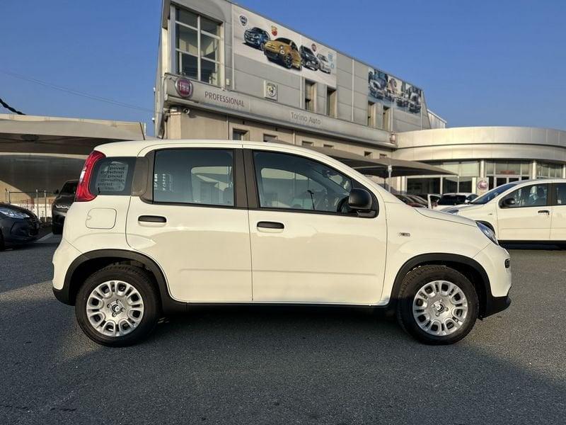 FIAT Panda 1.0 FireFly S&S Hybrid Pandina