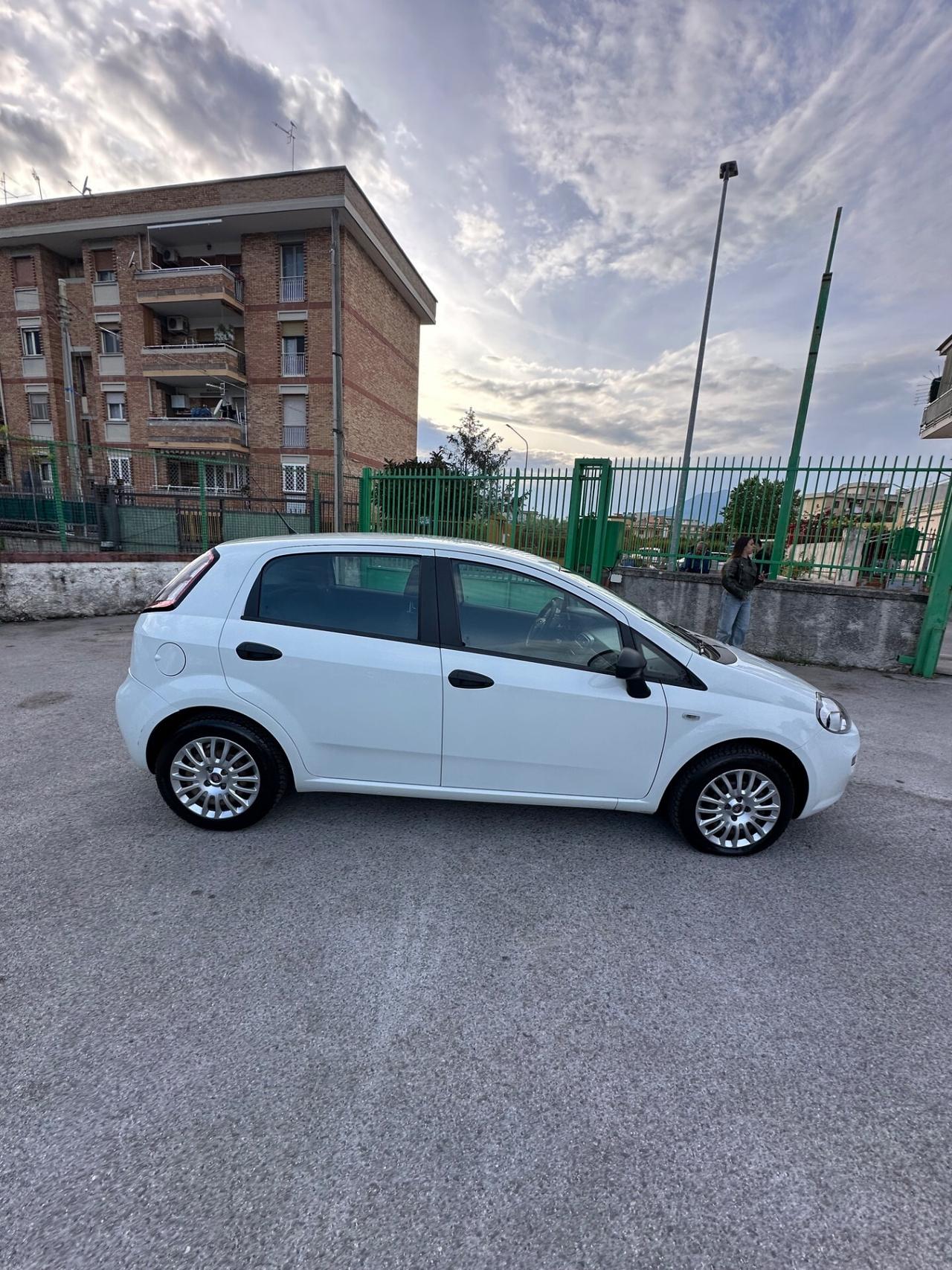 Fiat Punto 1.3 MJT II 75 CV 5 porte Easy