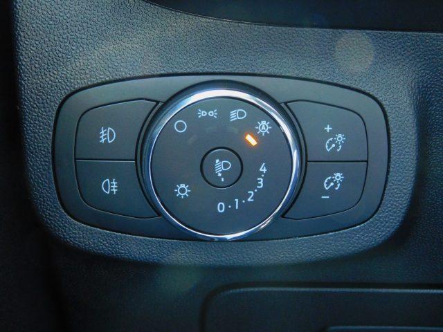 FORD Fiesta 1.0 Ecoboost Hybrid Active 125 cv