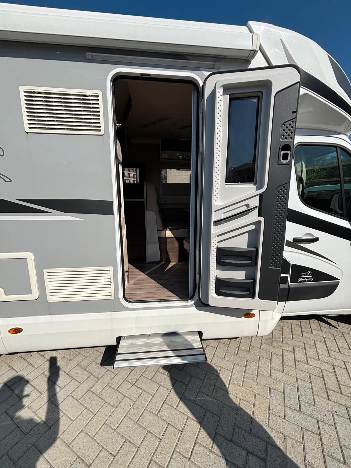 Mclouis Yearling 89g camper