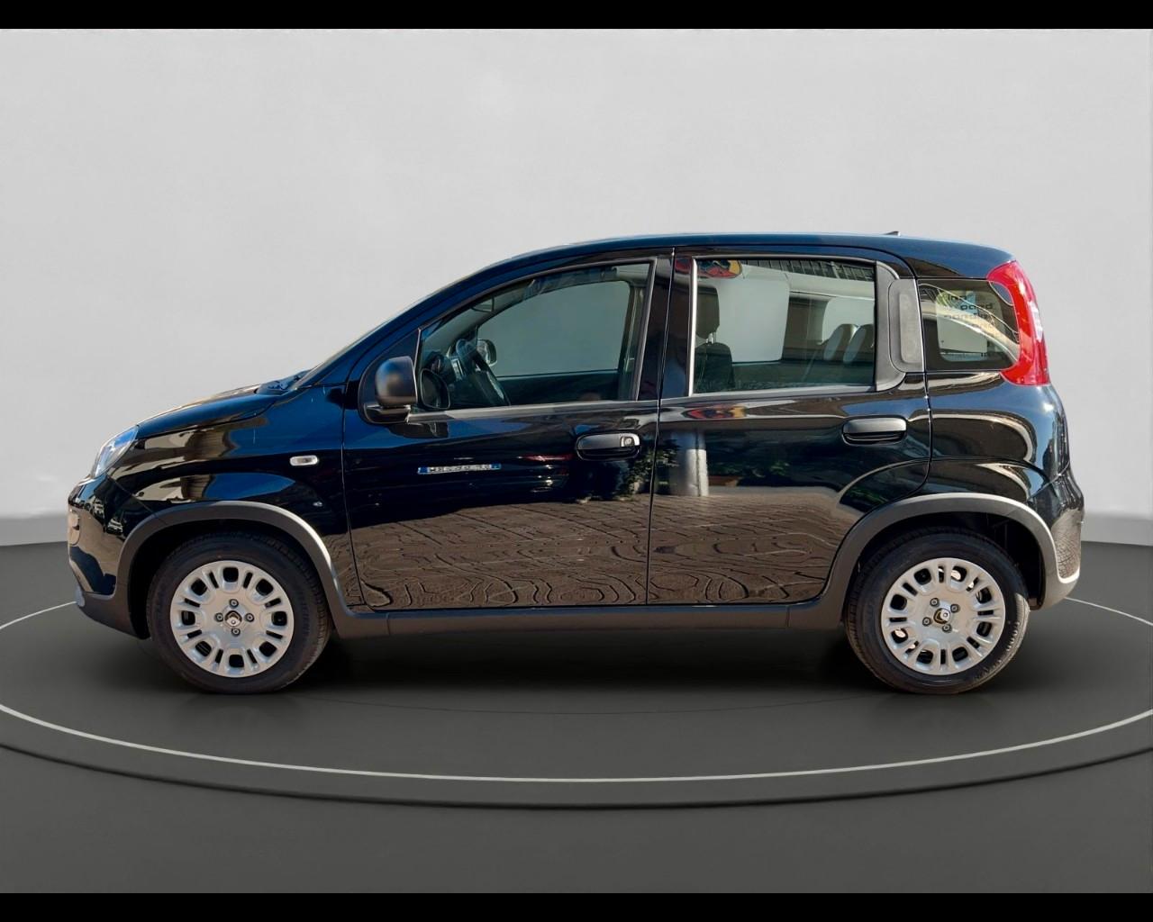 FIAT Panda III 2021 - Panda 1.0 firefly hybrid s&s 70cv