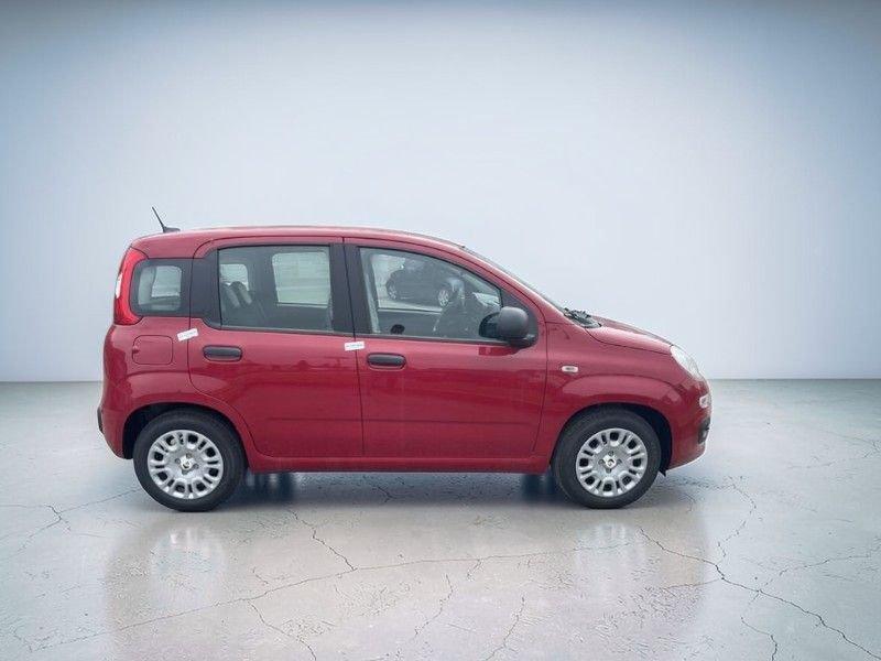 FIAT Panda Panda 1.0 FireFly S&S Hybrid