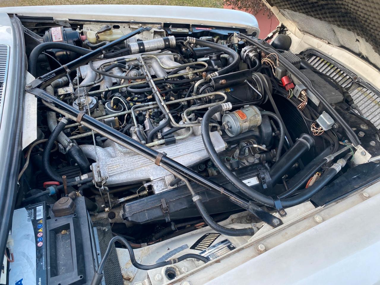 Daimler Double Six 5.3