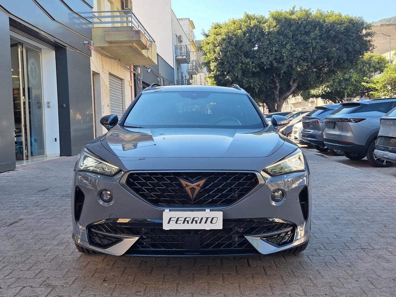 Cupra Formentor 2.0 TDI 4Drive DSG