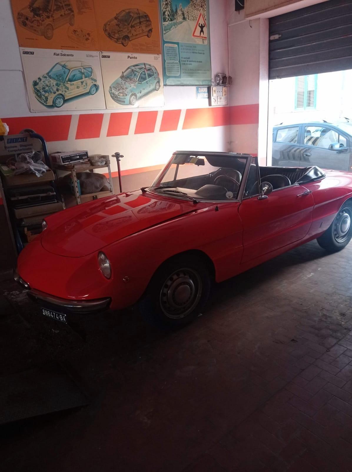 ALFA ROMEO DUETTO SPIDER ** OSSO DI SEPPIA **