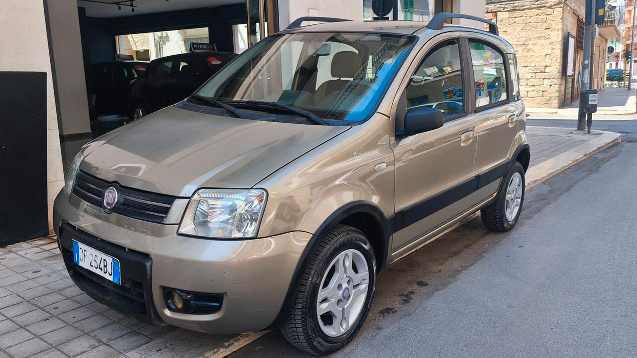 Fiat Panda 1.2 Climbing Natural Power 2008