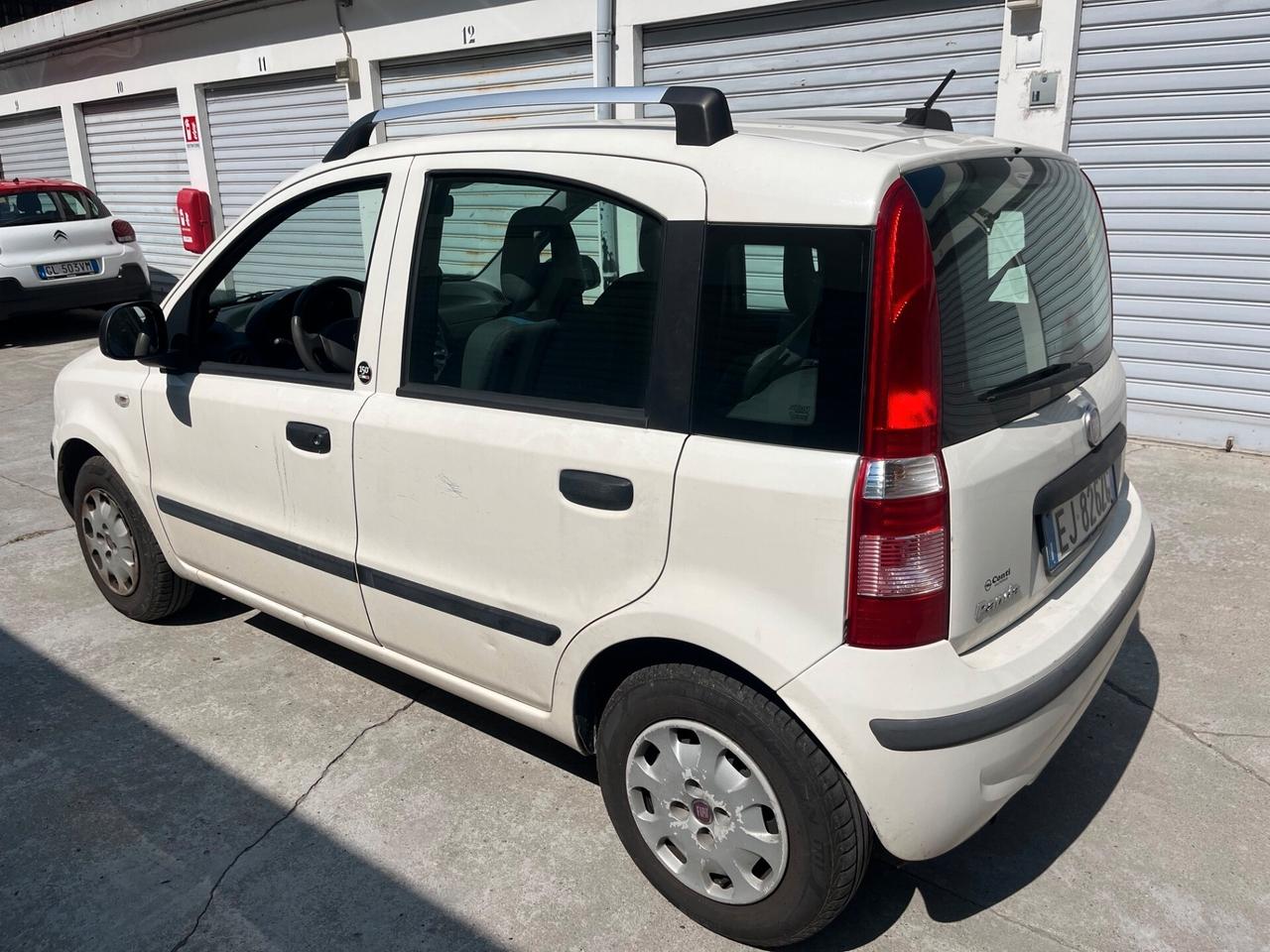 Fiat Panda 1.2 Emotion OK NEOPATENTATI