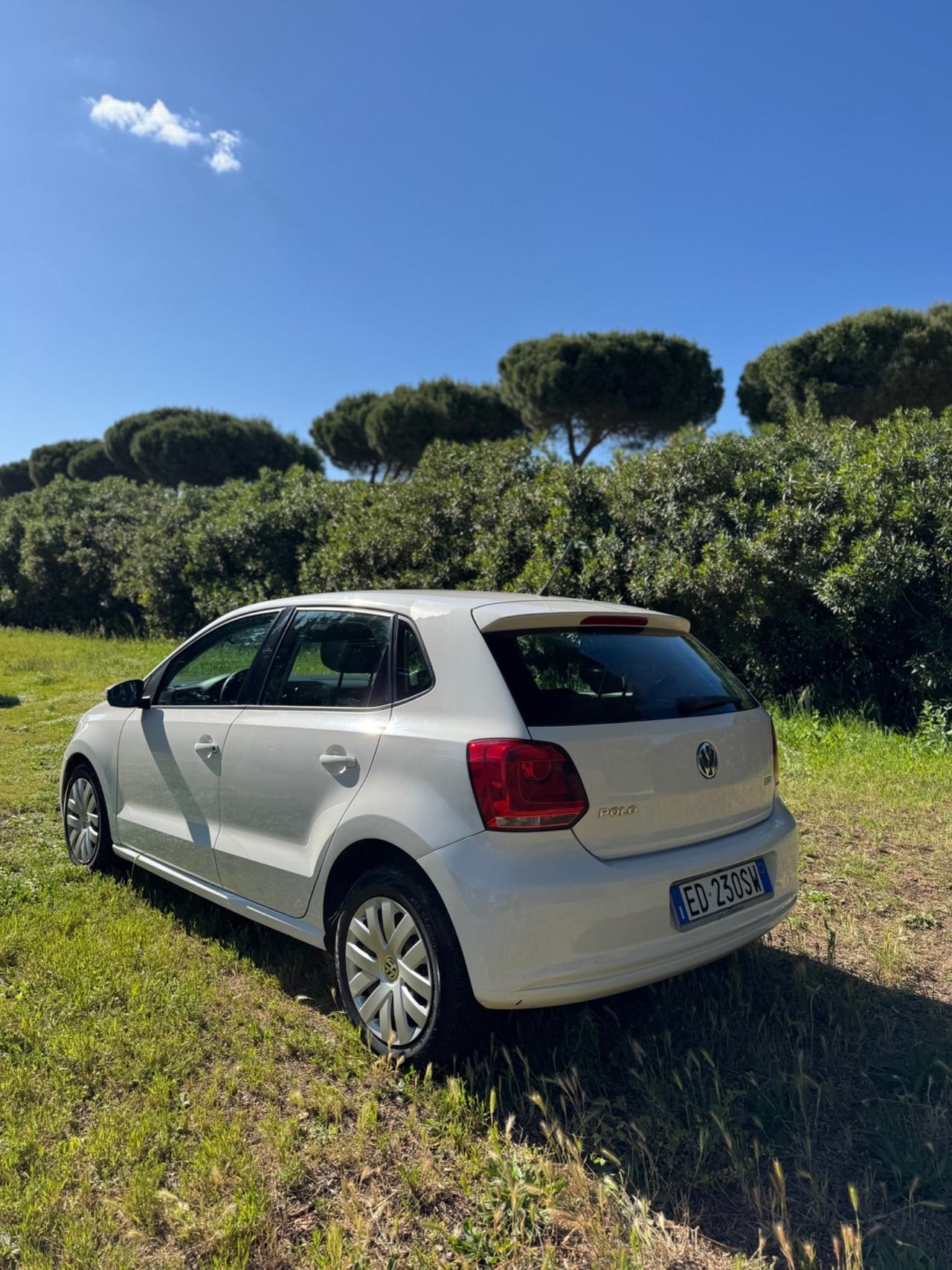 Volkswagen Polo 1.6 TDI DPF 5 porte Trendline