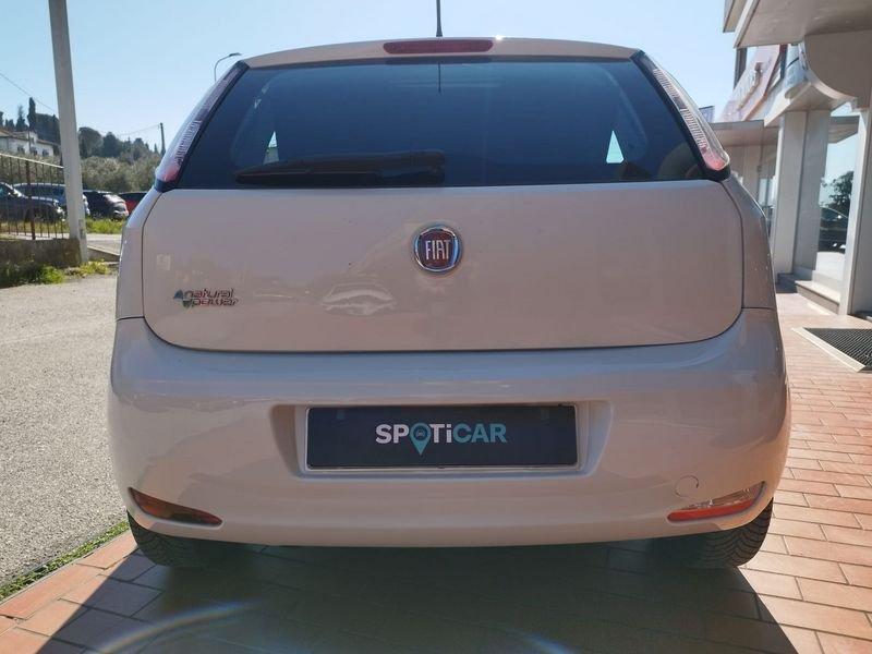 FIAT Punto Punto 1.4 8V 5 porte Natural Power Lounge