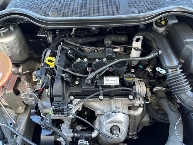 Ford Fiesta 5p 1.1 Plus 70cv Neopatentati