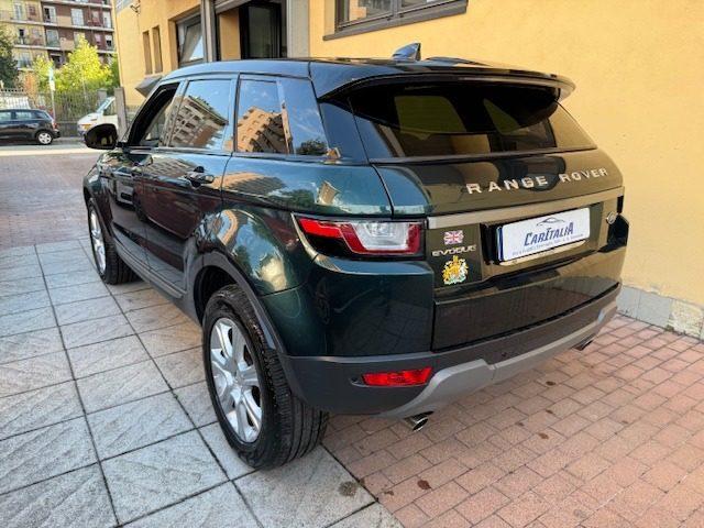 LAND ROVER Range Rover Evoque 2.0 eD4 5p. Business Edition Premium Pure