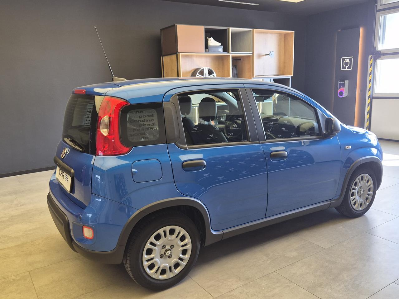 FIAT Panda III - Pandina 1.0 firefly hybrid s&s 70cv