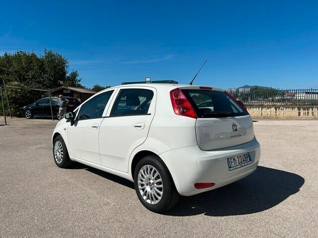 Fiat Punto 1.3 MJT 95CV S&S 5 porte Van 4 posti N1