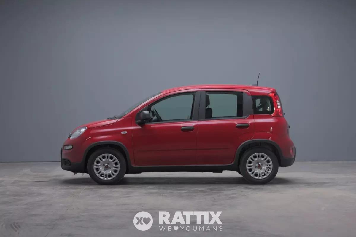 Fiat Panda 1.0 firefly hybrid 70CV 5p.ti