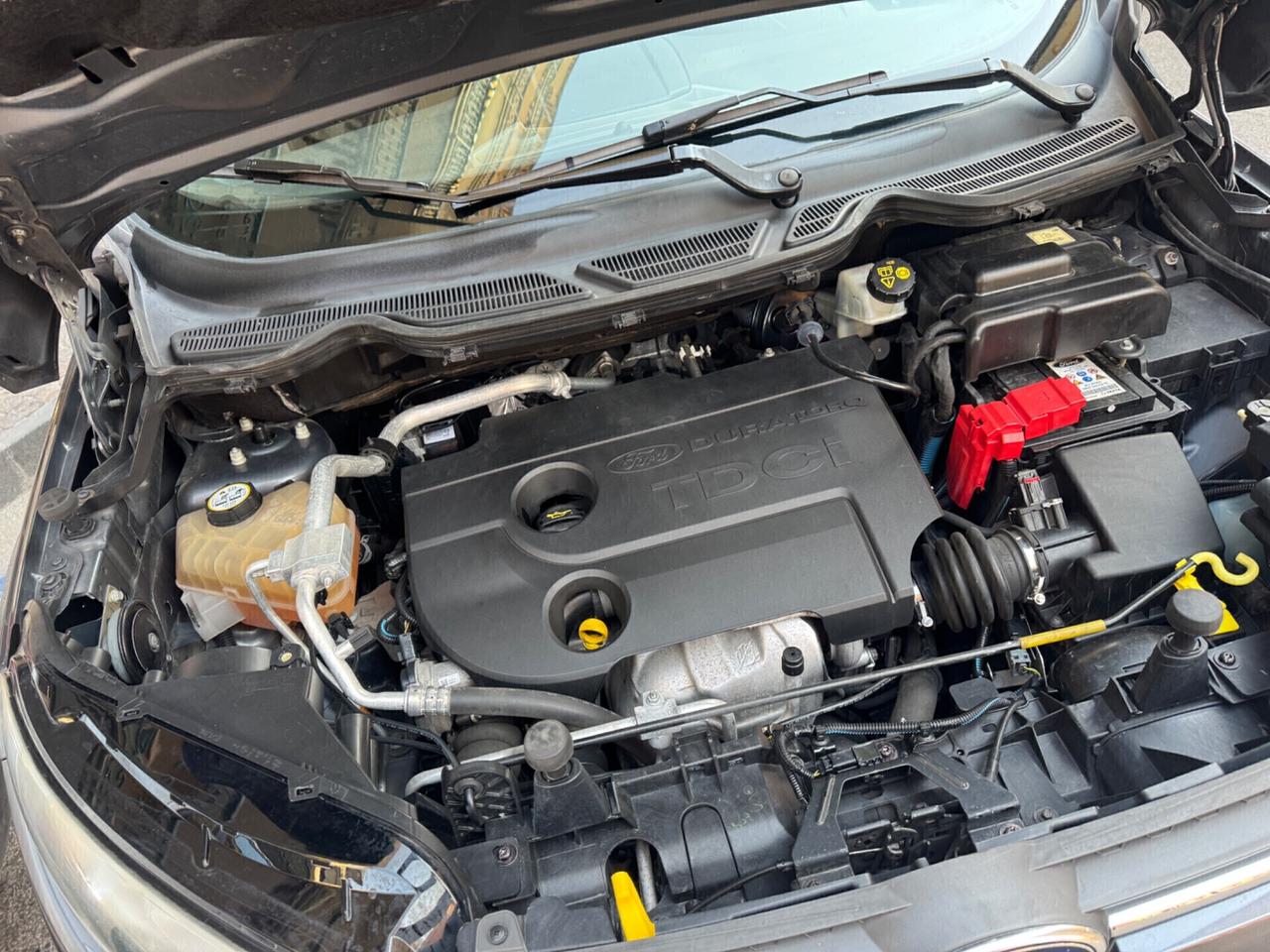 Ford EcoSport 1.5 TDCi 90 CV Titanium