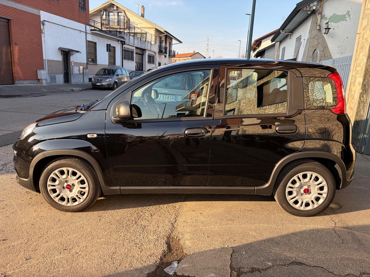 Fiat Panda 1.0 FireFly S&S Hybrid km 13000