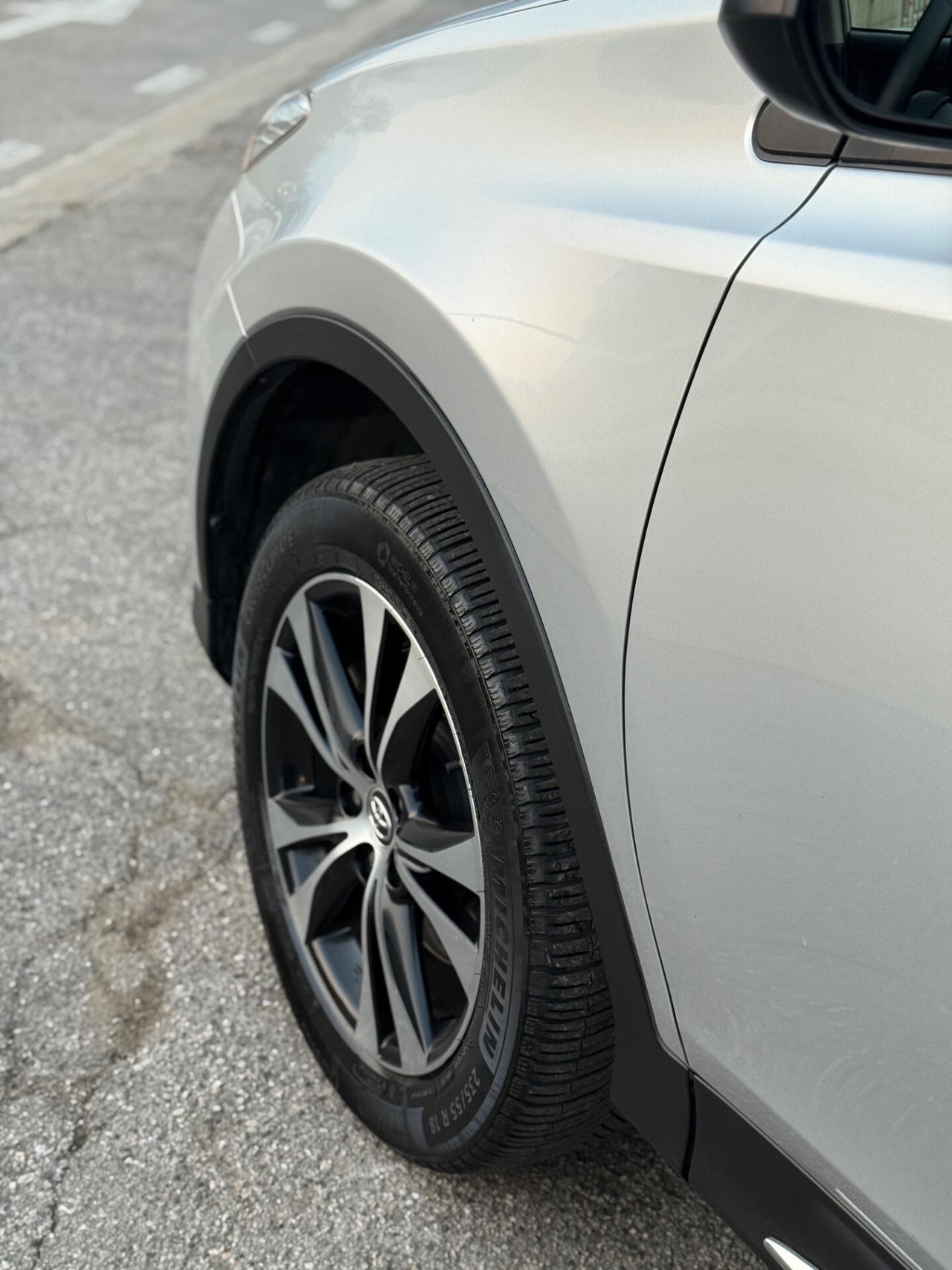 Toyota RAV 4 2.2 D-CAT A/T 4WD Lounge White Ed.