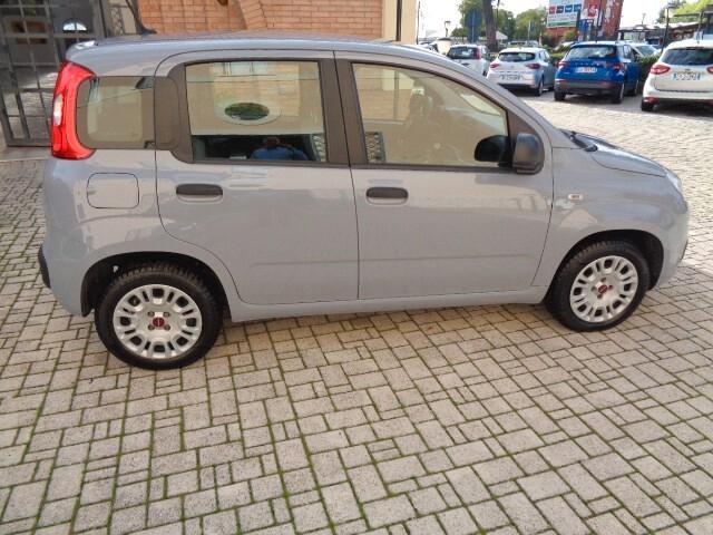 Fiat Panda 1.2 Easy € 6