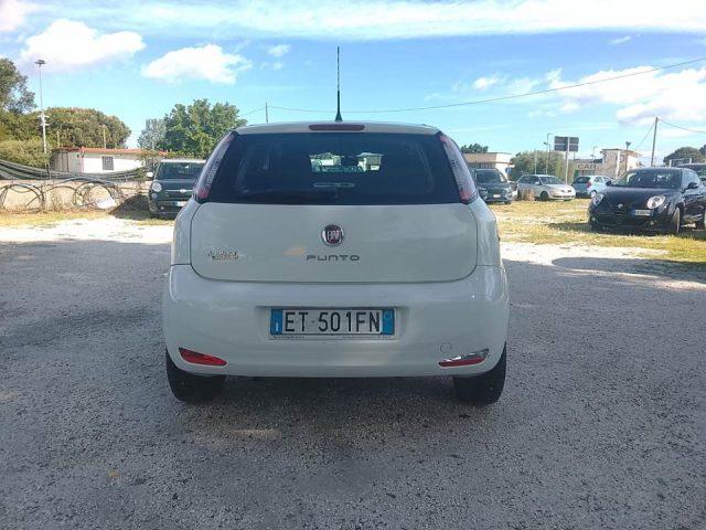 FIAT Punto 1.4 8V 5 porte Natural Power Lounge