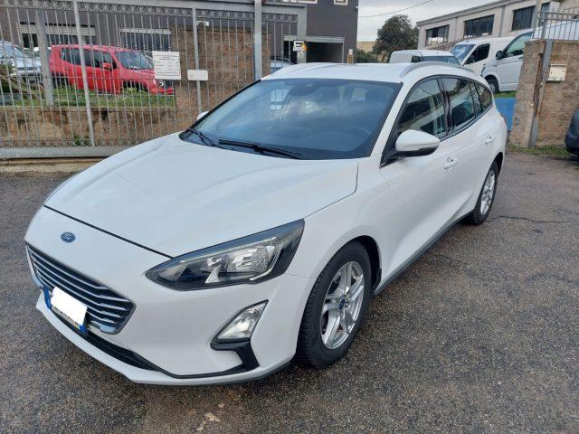 FORD Focus 1.5 EcoBlue 120 CV SW Business N1