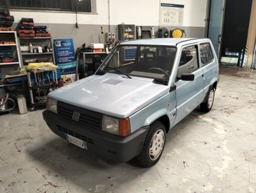 Fiat Panda 1100 i.e. cat College
