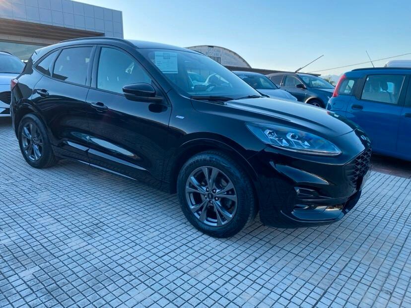 Ford Kuga 1.5 EcoBlue 120 CV aut. 2WD ST-Line X
