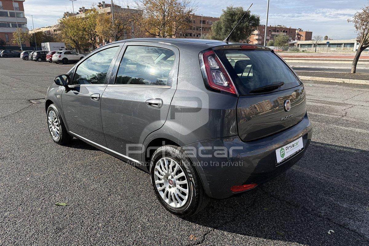 FIAT Punto 1.4 S&S 8V 5 porte Young