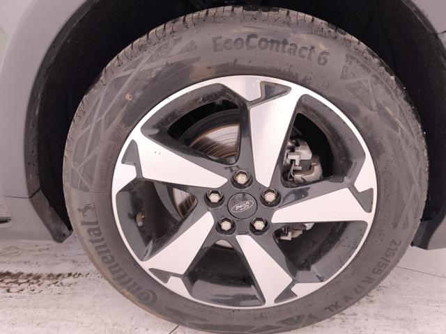FORD Focus 1.0t ecoboost h 125cv