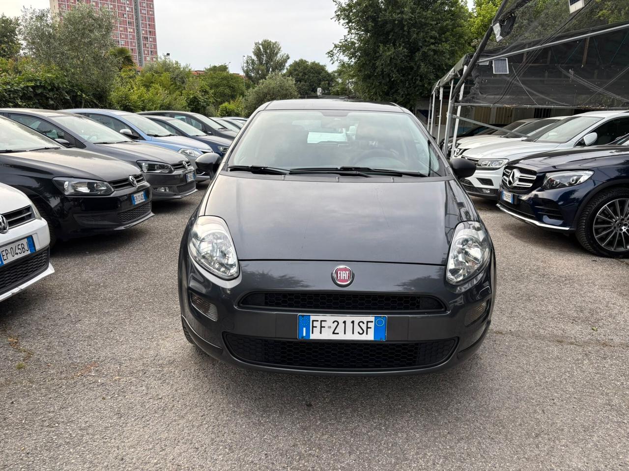 Fiat Punto 1.2 8V 5 porte Lounge OK Neopatentati