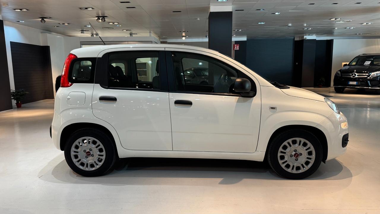 FIAT PANDA 1.0 70CV - 2022