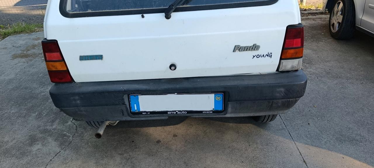 Fiat Panda 900 i.e. cat Young
