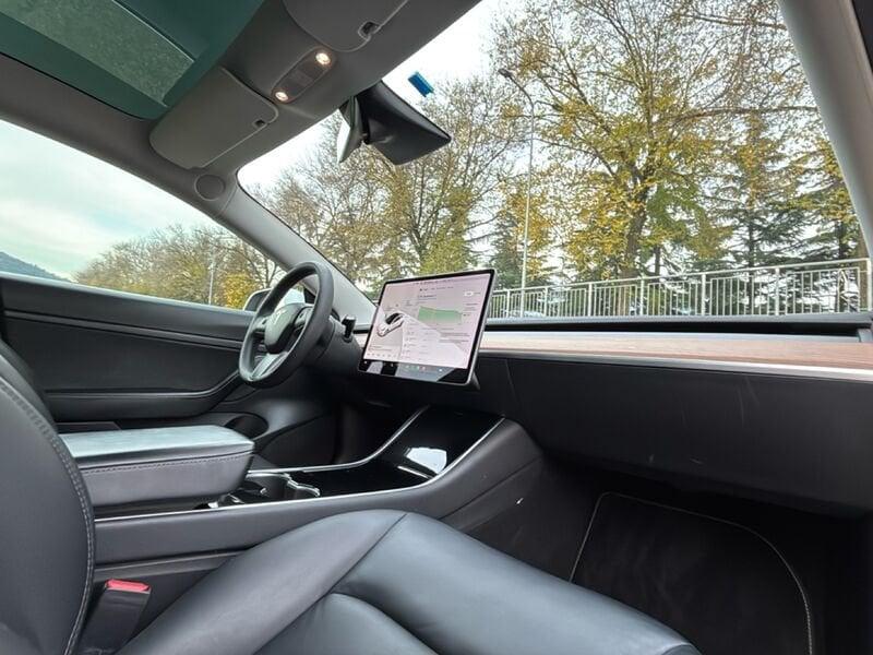 Tesla Model 3 Model 3 Standard RWD Plus