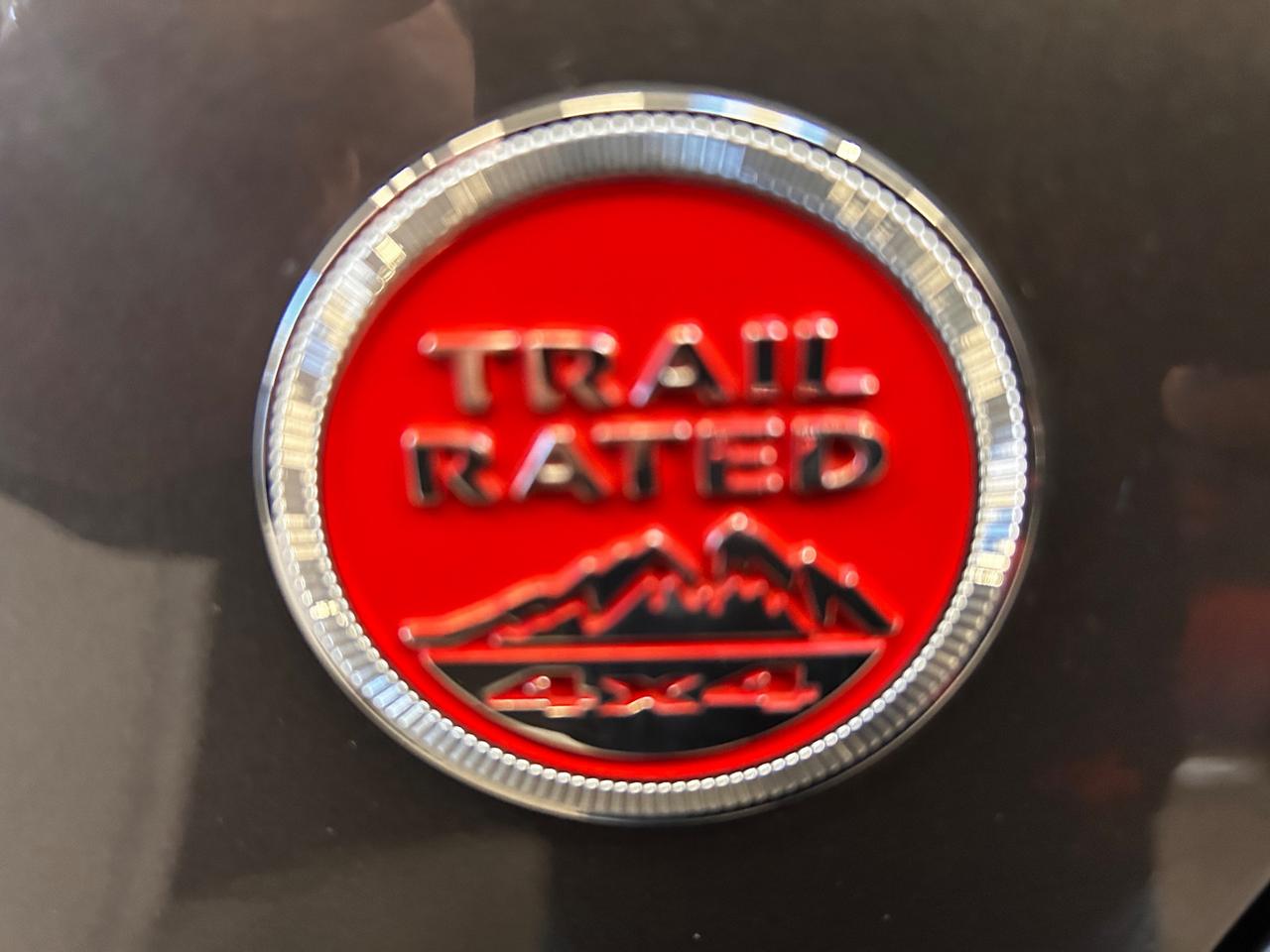 Renegade 2.0 Mjt 170CV 4WD Active Drive Low Trailhawk