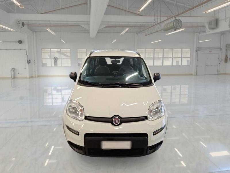 FIAT PANDA 1.0 FireFly 70cv S/S Hybrid City Life 5 PORTE