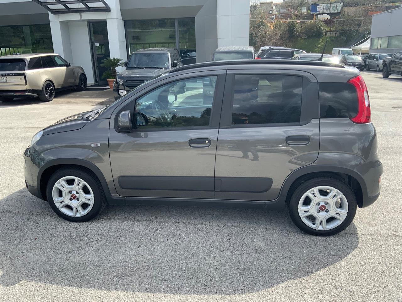 Fiat Panda 1.0 FireFly S&S Hybrid