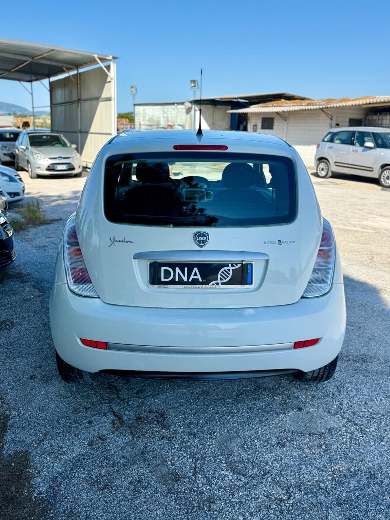 Lancia Ypsilon 1.2 Benzina 73milaKM Neopatentati