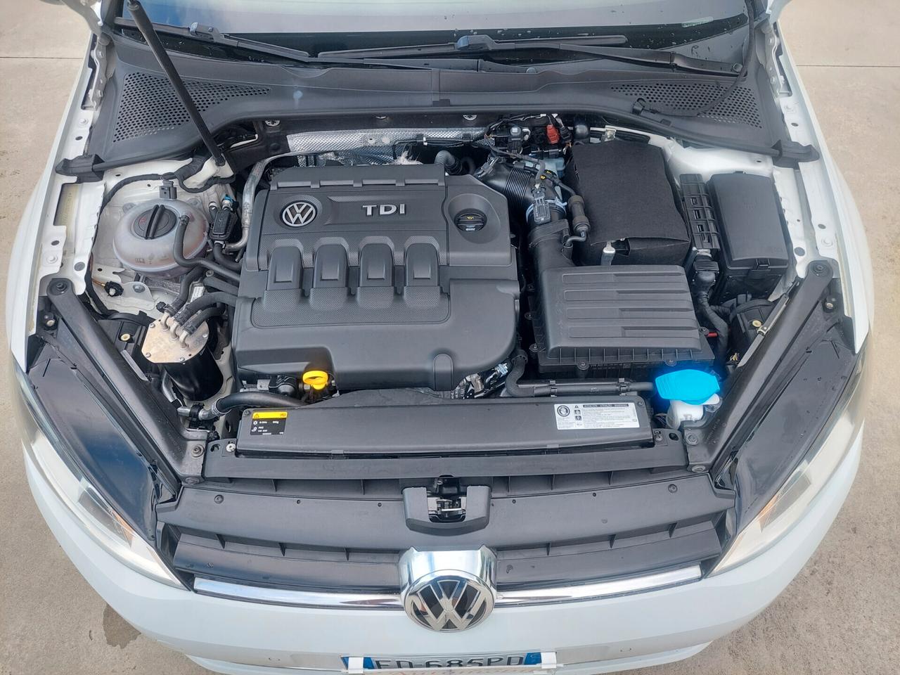 Volkswagen Golf 1.6 TDI 110 CV 5p. Highline BlueMotion Technology