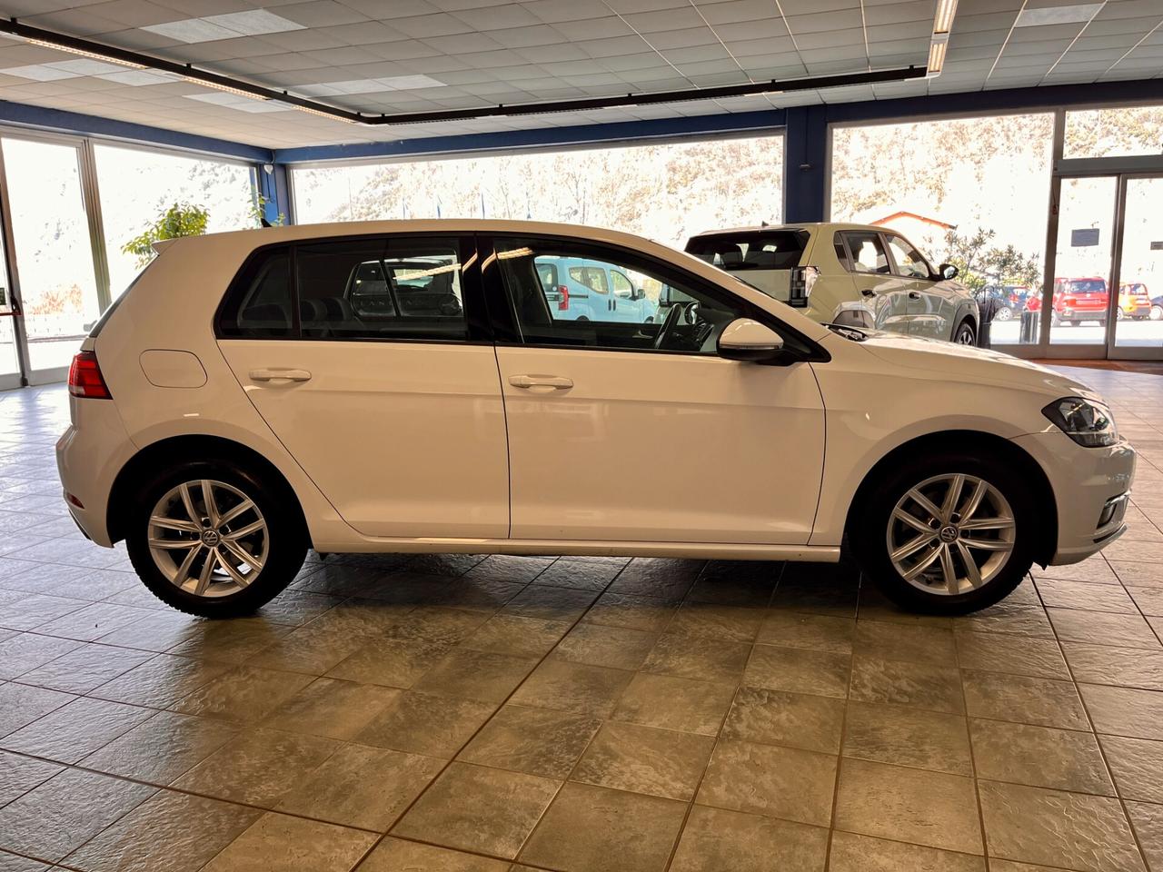 Volkswagen Golf 1.6 TDI 115 CV 5p. Business BlueMotion Technology