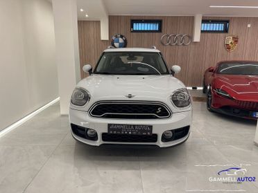 MINI Mini Countryman F60 Mini 1.5 Cooper SE Countryman ALL4 Automatica