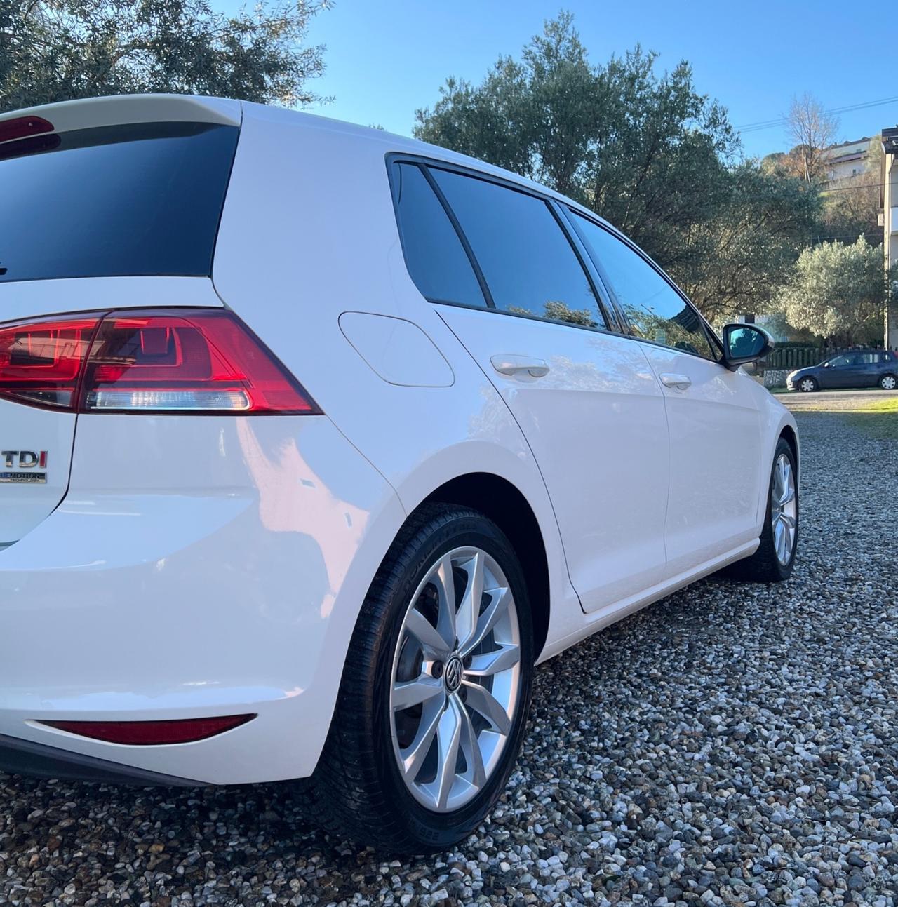 Volkswagen Golf 1.6 TDI 5p. Highline BlueMotion Te