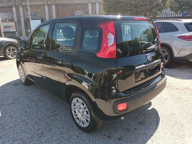 FIAT Panda 1000 HYBRID 70 CV PDC ITALIA