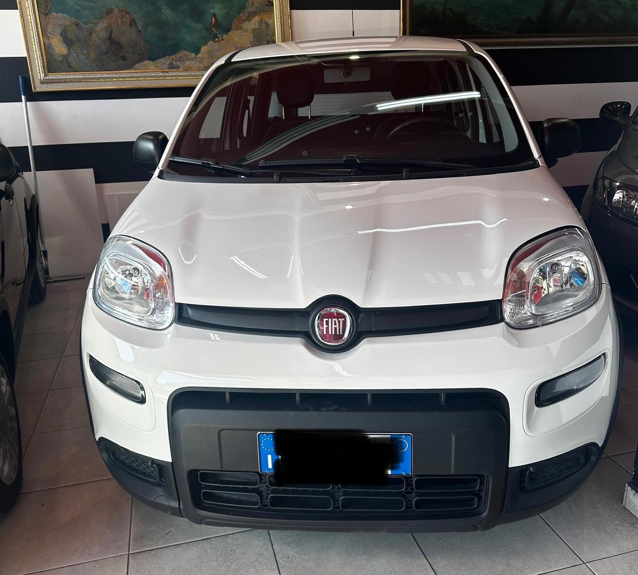 Fiat Panda 1.0 FireFly S&S Hybrid