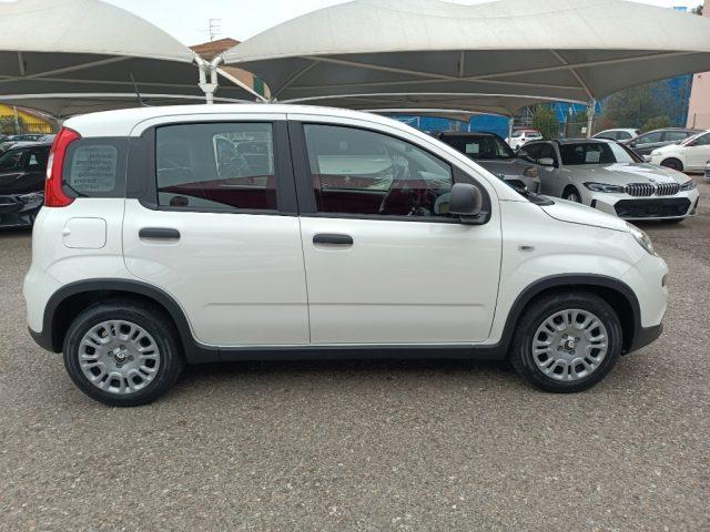 FIAT Panda 1.0 FireFly S&S Hybrid Pandina