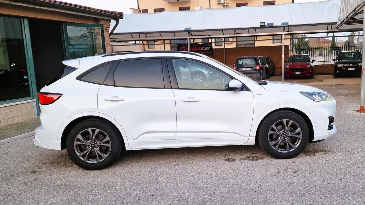 Ford Kuga 1.5 EcoBlue 120 CV 2WD ST-Line