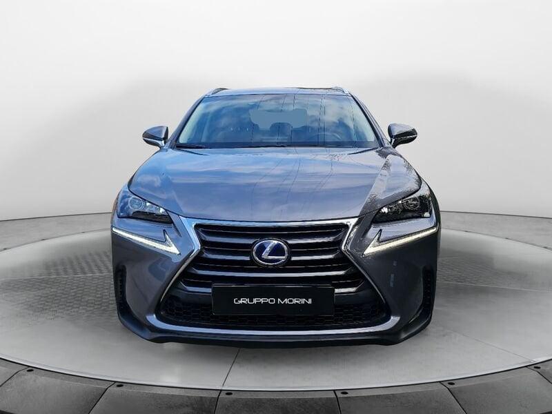 Lexus NX Hybrid 4WD Icon