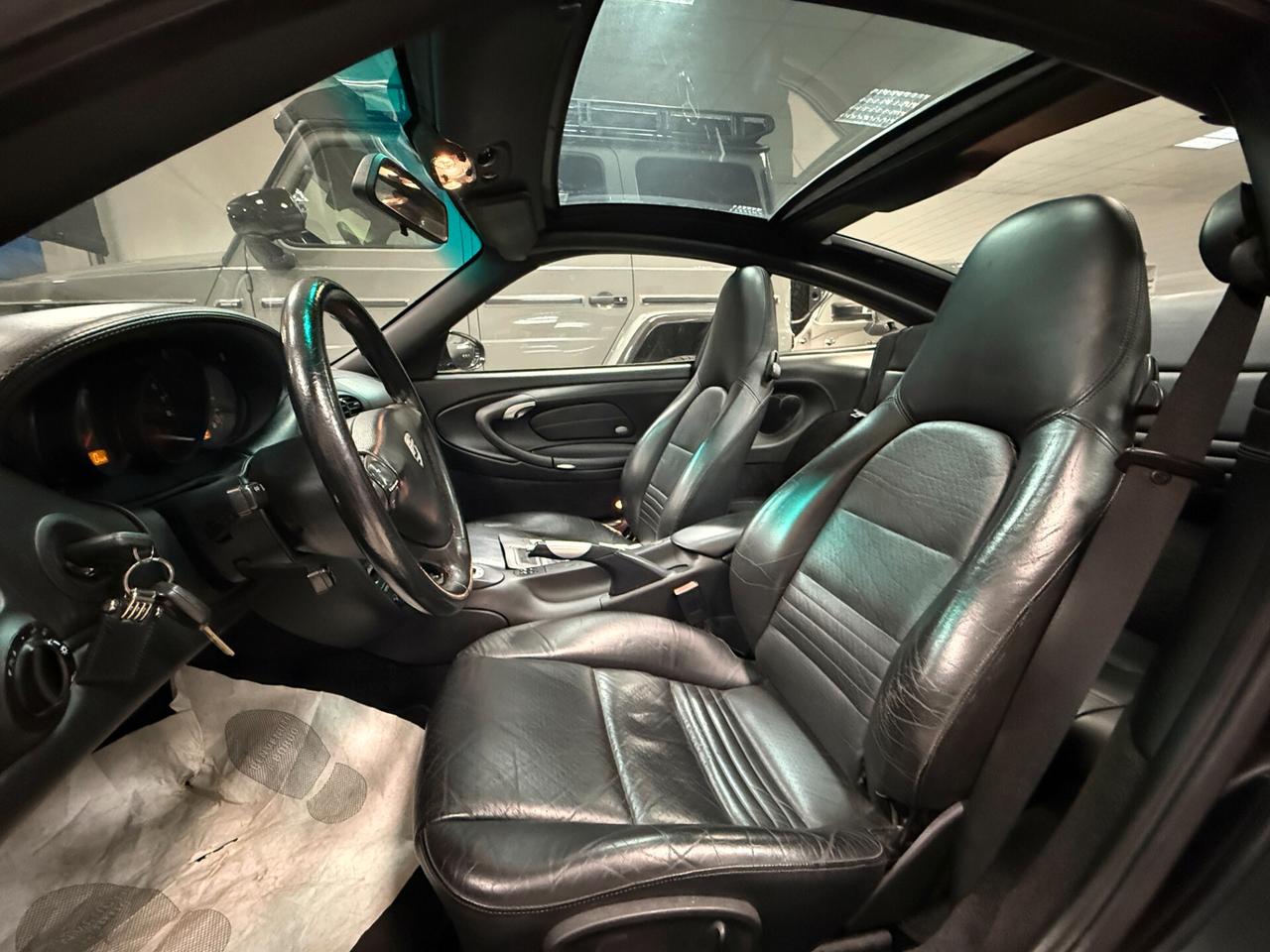 Porsche 911 Targa cat